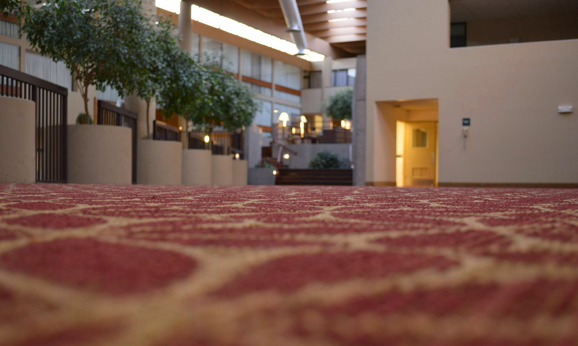 Hotel Muscatine Екстер'єр фото